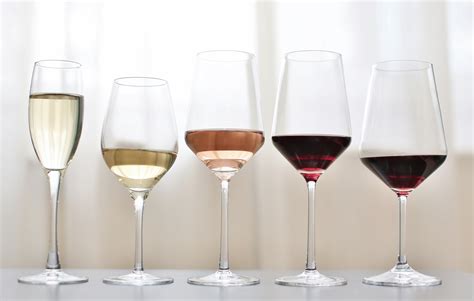 19 Different Types Of Wine Glasses