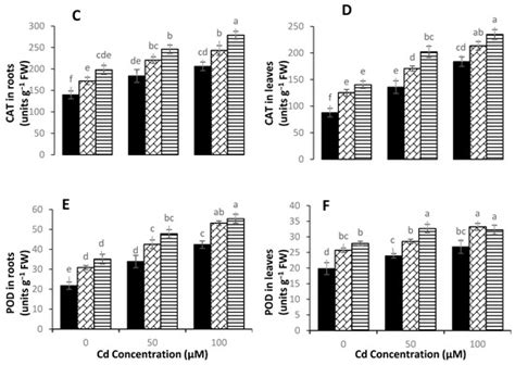 Peptone-Induced Physio-Biochemical Modulations Reduce Cadmium Toxicity ...