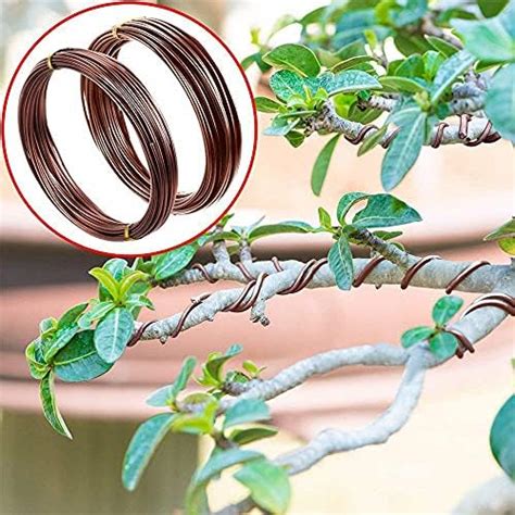 GREENARTZ® 33ft Aluminium Wire 1mm enameled for Electrical Bonsai ...