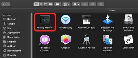 Image result for Activity Monitor Apple Computer