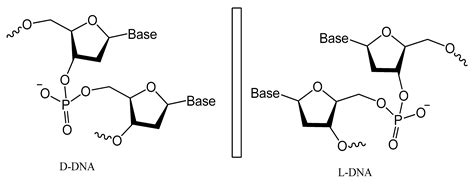 Aptamers Chemistry: Chemical Modifications and Conjugation Strategies