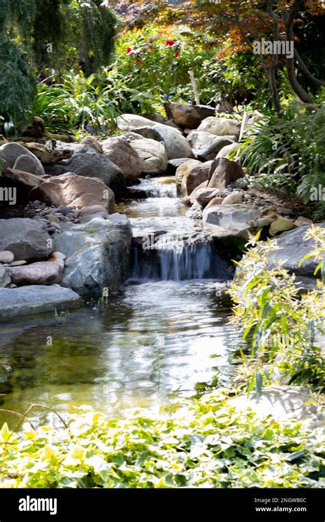 Image result for How to Find a Spring Water Source