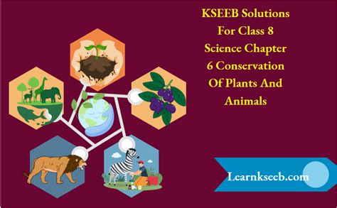 Image result for Class 6 Lesson 8 Science