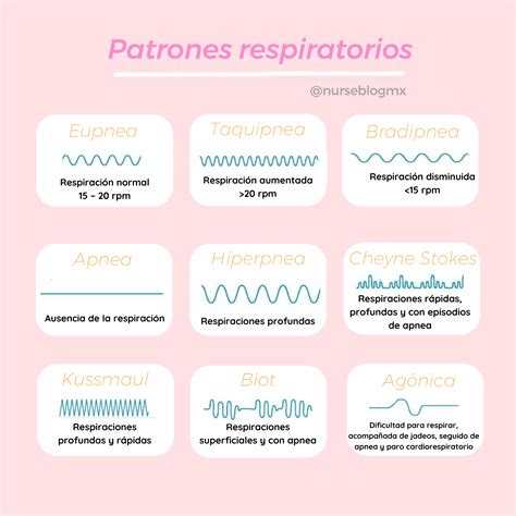 Patrones Respiratorios: A Visual Guide