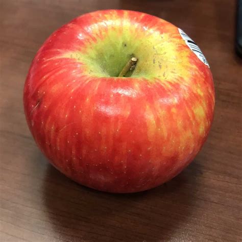 Giant Honeycrisp Apple