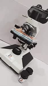 Maurya Pathological Doctor Compound Student Binocular Microscope LED ...