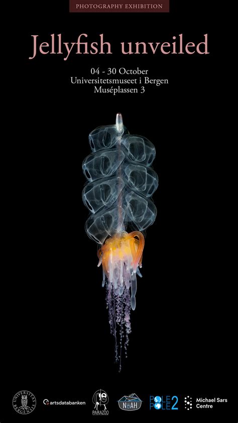 New photography exhibition: Jellyfish unveiled | The Invertebrate Collections