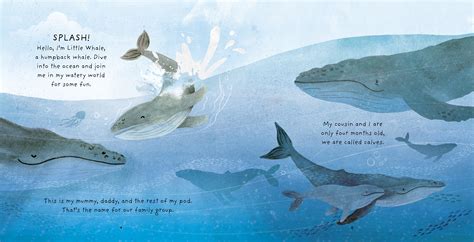 Little Whale: A Day in the Life of a Whale Calf (Really Wild Families) - ReadingZone