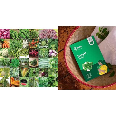 UGAOO Indian Vegetable Seeds Bank For Home Garden 35 Varieties - 1675 ...