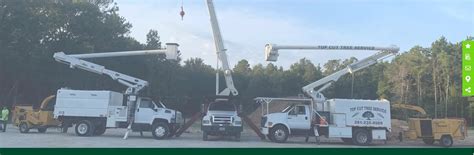 Image result for Tree Top Tree Service