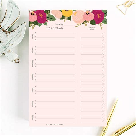 Buy Bliss Collections Weekly Meal Planner, Pink Floral, Magnetic Family ...