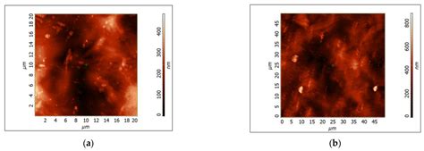 Enhancing the Mechanical Properties of Corn Starch Films for ...