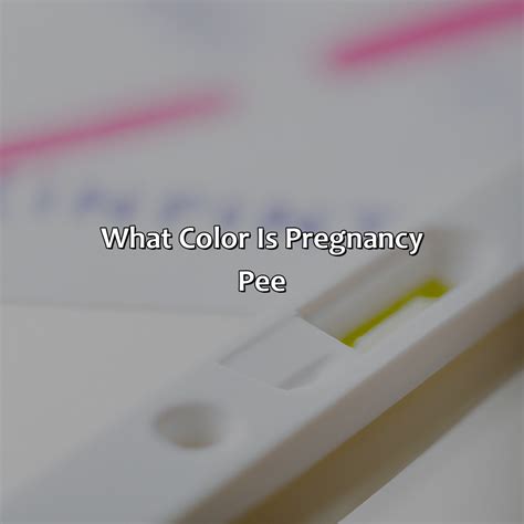 What Color Is Pregnancy Pee - colorscombo.com