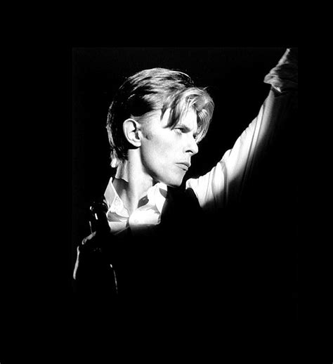 Download David Bowie - Singles & EP Collection (7'' , 12'' vinyls; CDs ...