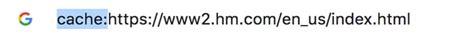 Image result for Google Cache View