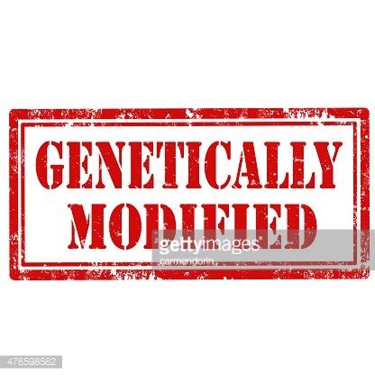 Modified Stamp Vector 的图像结果