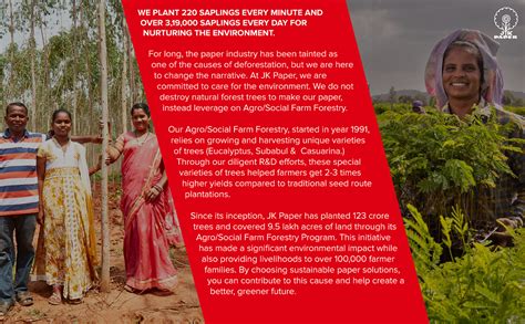 JK Copier Slims Paper A4, 75 Gsm, 100 Sheets : Amazon.in: Office Products