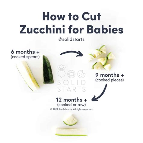 Peel Zucchini For Baby Food at Lucy Via blog