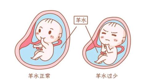 孕期1-40周|胎儿发育全过程变化和B超单解读！ - 知乎
