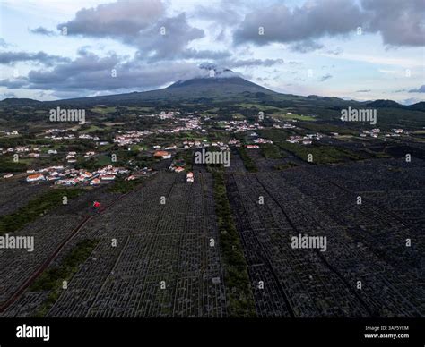 Aerial view of ancient volcanic vineyards with beautiful landscape and ...