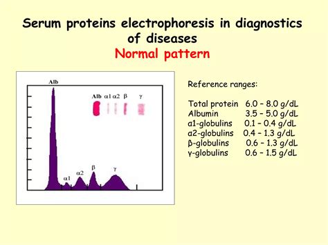Total Protein Normal Range