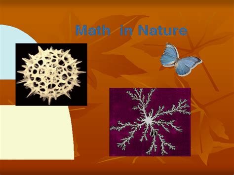 Image result for Math Nature