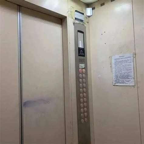 南宁一情侣忘关水泡坏酒店电梯，预付2万维修费后发现…-桂林生活网新闻中心
