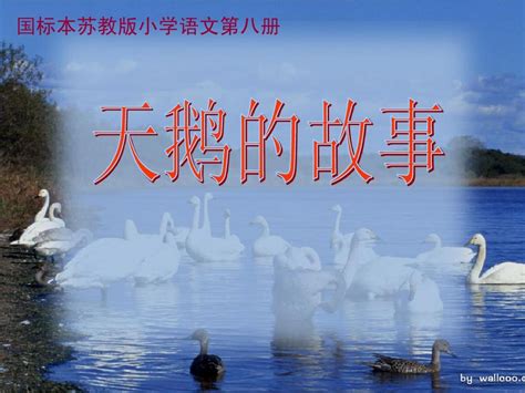 Code API 的图像结果