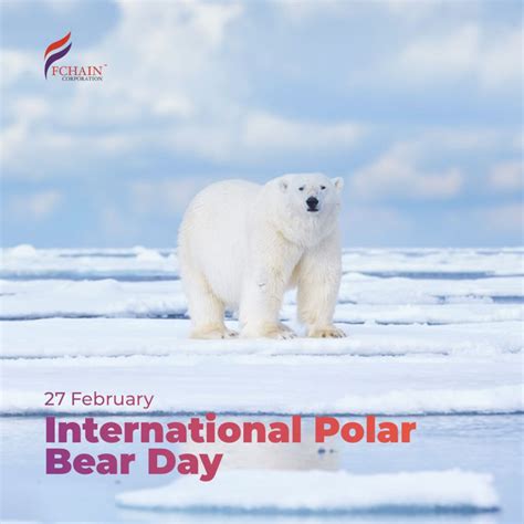 International Polar Bear Day: Raising Awareness for Arctic Giants