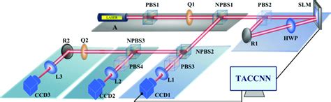 MathWorks PBS 的图像结果