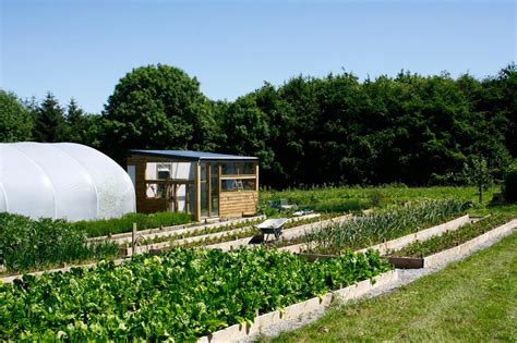 Local Production 的图像结果