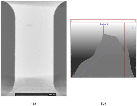 In Situ CT Tensile Testing of an Additively Manufactured and Heat ...