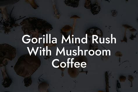 Gorilla Mind Rush With Mushroom Coffee - Mr Mushroom