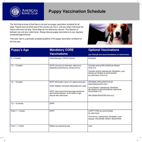 Free Printable Dog Vaccination Record Template: Keep Your Pet's Health ...