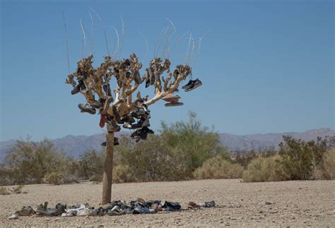 Image result for Shoe Tree Project