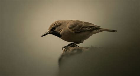 Define the Air Quality Index (AQI) and Explain How PM Concentration Is ...