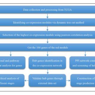 Data Analysis Science 的图像结果