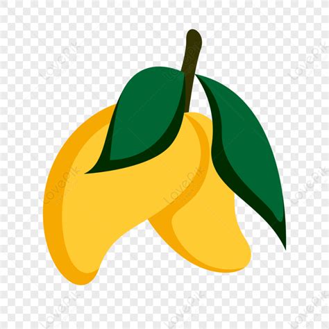Image result for Basic Definitions for Coding