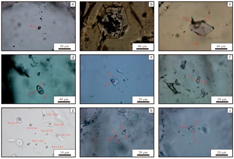 The Metallogenic Mechanism of Skarn Sn-Polymetallic Deposits in the ...