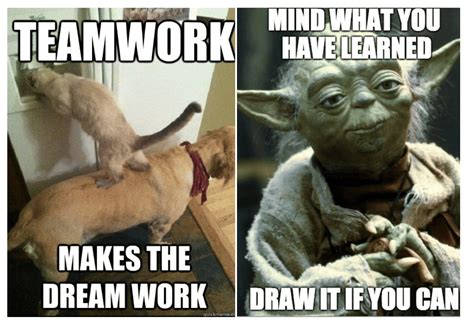 Local Activities Memes 的图像结果