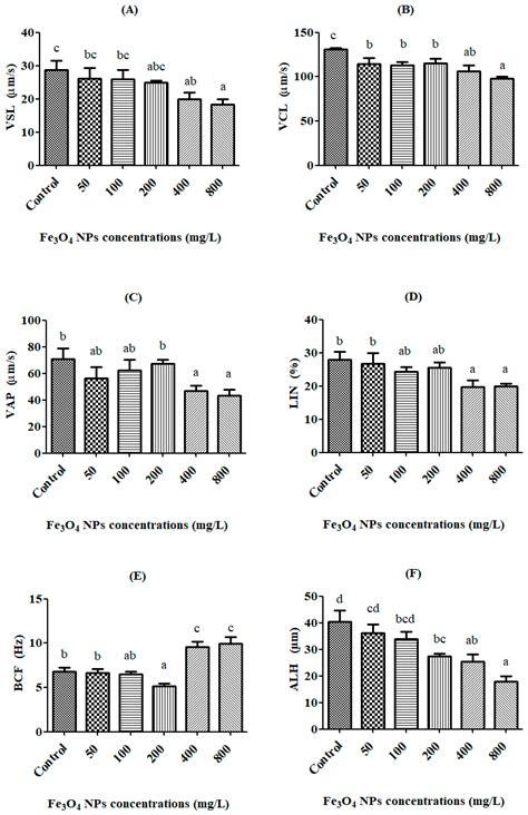 The Toxicity Assessment of Iron Oxide (Fe3O4) Nanoparticles on Physical ...