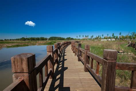 大庆龙凤跨湿地大桥航拍图,溪流河流,自然风景,摄影,汇图网www.huitu.com