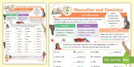 French: Avoir and Être Worksheet