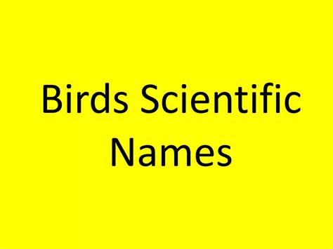 Birds scientific names 1 | PPTX
