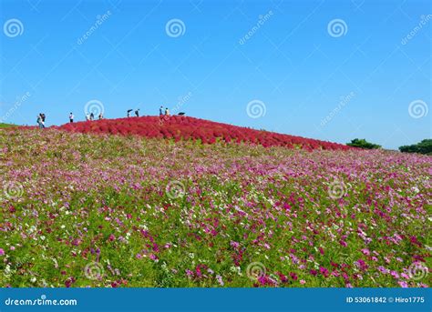 Image result for Pattern Finding with Unsupervised Learning Telecom