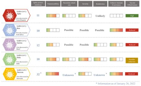 Immune Signature of COVID-19: In-Depth Reasons and Consequences of the ...