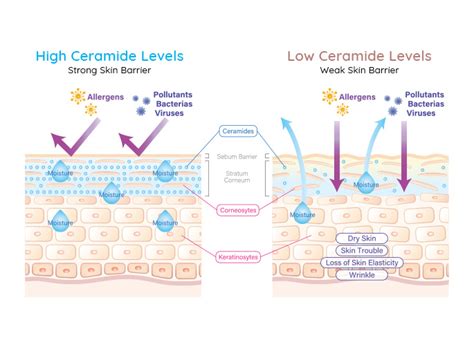Science Behind Baby Skincare | Nature-Powered Care at Little Rituals