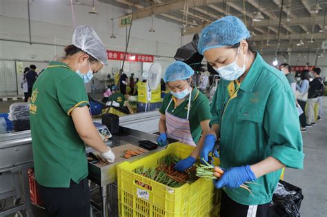 食品加工厂作人员穿防护制服高清图片下载-正版图片502579639-摄图网