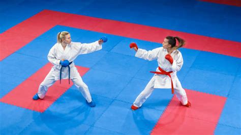 Image result for Karate Framework Java