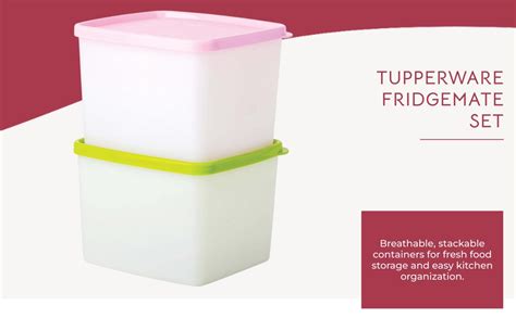 Buy Tupperware Plastic Fridgemate Medium, 800Ml (Set Of 2), Multicolor ...